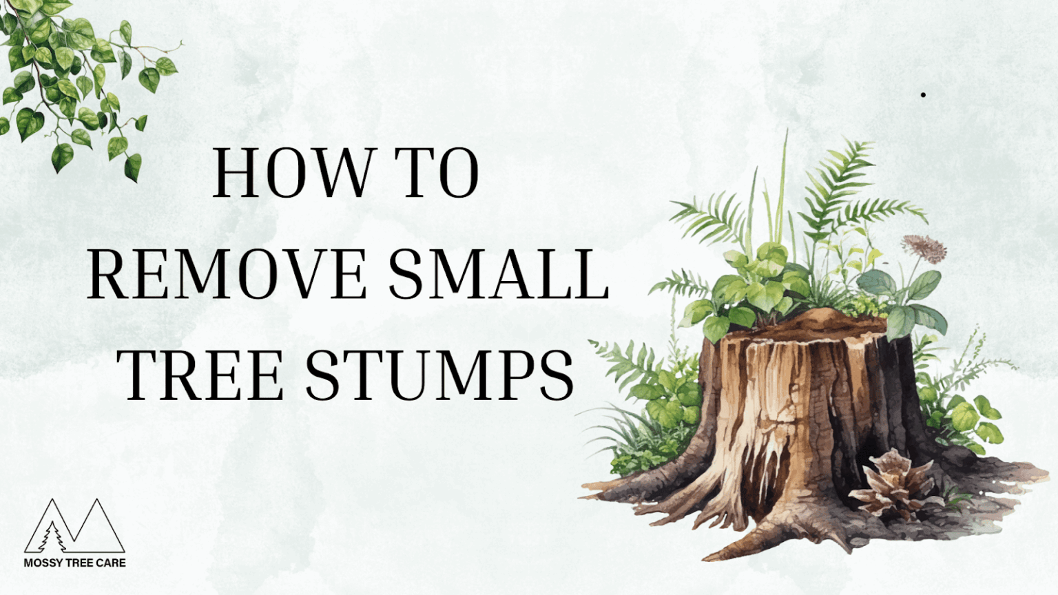 Great Description About How To Remove A Small Tree